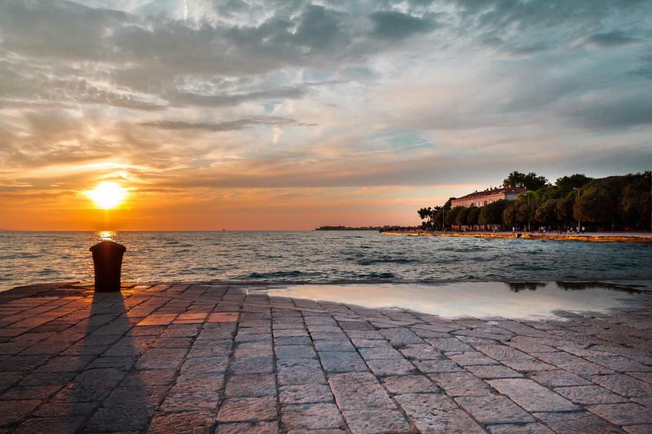 Apartment Montesa Zadar With Free Parking And Balcony Exteriör bild